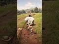 Mountain Lion Attacks Man Brave Girl Fights Back to Save Him! #rdr2 #shorts #shortsfeed #gaming