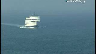 Discover Magazine - Bury Beetles screenshot 1