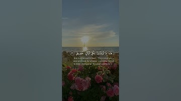 من خشي الرحمن بالغيب وجاء بقلبٍ منيب | سورة ق | إسلام صبحي