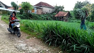 Very Beautiful Village,