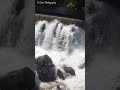 Yantic Falls, Norwich CT Pt. II - Waterfall, Railroad Bridge & Mill. May 25, 2024