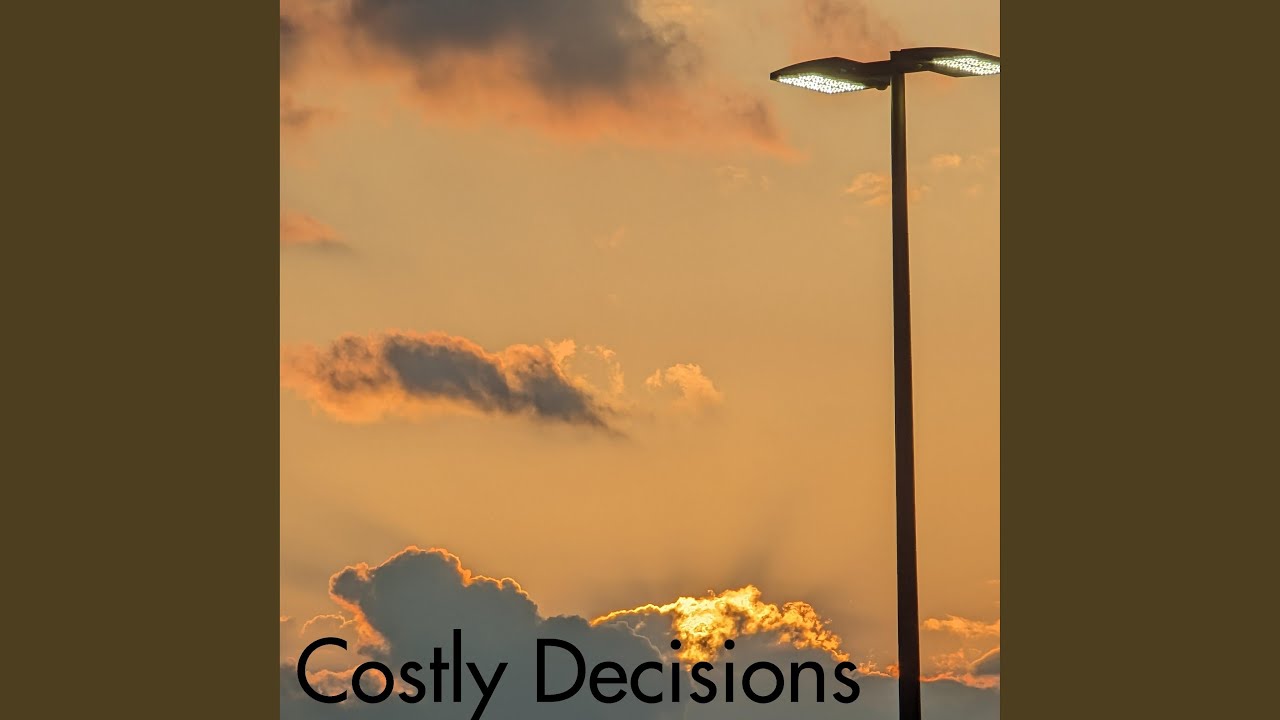 Costly Decisions