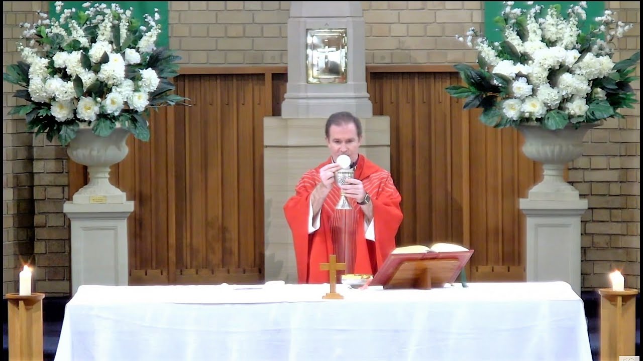 Mass on  Saturday 31 January 2026 (Memorial of St. John Bosco, priest)