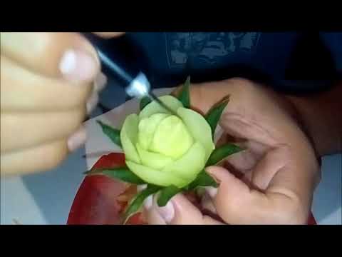 Vídeo: Como Alimentar Pepinos Em Flor?