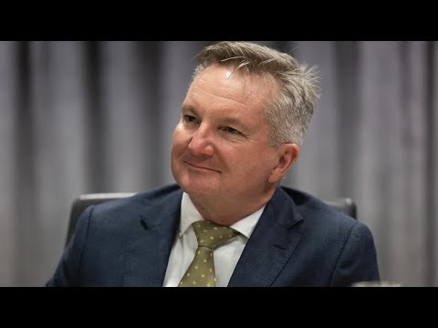 Labor Ministers Defend Chris Bowen Moonlighting For UN Climate Negotiations
