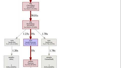 Go tool pprof web interactive