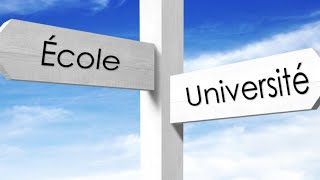 quelle est la différence entre université et institut?