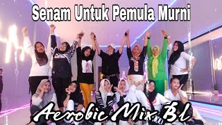 Remix Malaysia Terbaru /Aerobic Mix BL untuk Pemula Murni/@Lulukaudie