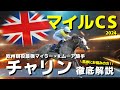 【マイルCS】チャリンの取捨に迷われている方へ。