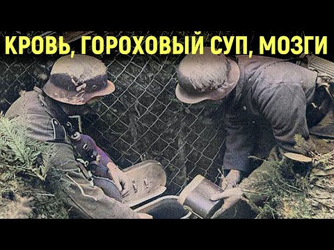 Война День за Днем Глазами Немца. Мощь Советской Артиллерии. Мемуары Солдат. Военные Истории.