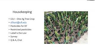 Pest Management Strategies for Dragon Fruit
