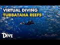 TUBBATAHA REEF: Virtual Adventure at UNESCO World Heritage Site with Mama Ranger | THE DIVE