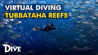TUBBATAHA REEF: Virtual Adventure at UNESCO World Heritage Site with Mama Ranger | THE DIVE