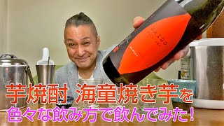 【レビュー】濱田酒造の芋焼酎 海童焼き芋を色々な飲み方で飲んでみた♪