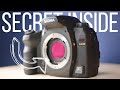 15 year old Foveon X3 camera! Using the Sigma SD14 DSLR in 2022