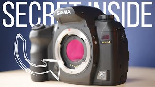 Sigma SD14 in 2022 Review - Snappiness