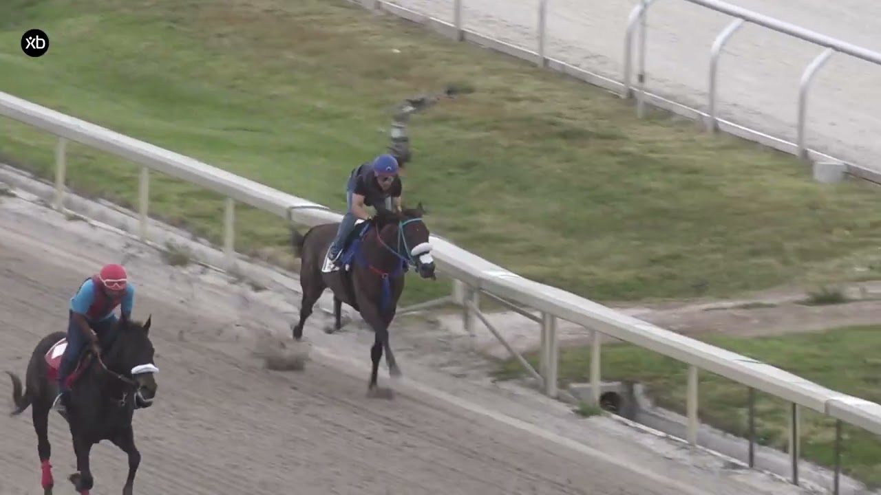 Simplification 4/22/22