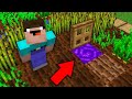 Minecraft NOOB vs PRO: NOOB OPENED TRAPDOOR IN FARM AND FOUND SECRET PORTAL Challenge 100% trolling