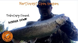 Oregon Spring Chinook Salmon Fishing Bobber Down