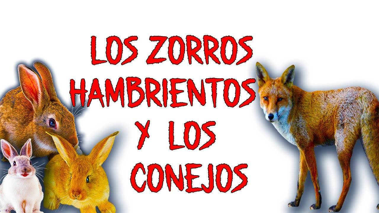 LOS ZORROS HAMBRIENTOS Y LOS CONEJOS (cuento andino) - YouTube