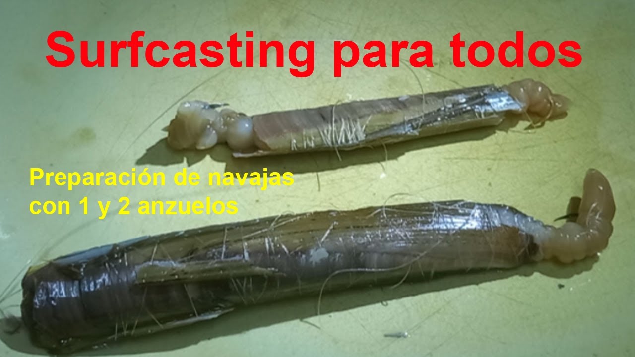Nudo para Anzuelar  navaja con 1 y 2 anzuelos Surfcasting para todos