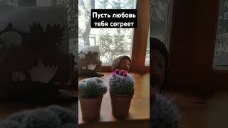 всё будет хорошо #стихи .