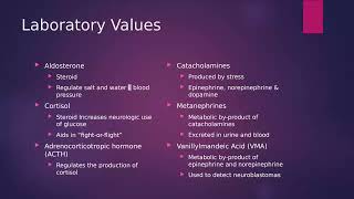 Adrenal Anatomy, Physiology & Pathology