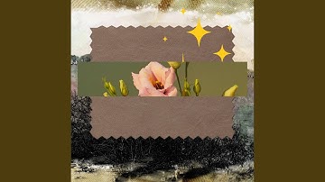 Stylish Backdrops for Forgetting Changes