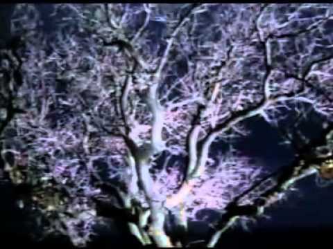 Сплин - Выхода нет (Смысл песни)