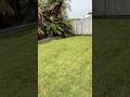 Lawn transform #landscape#lawncare#lawnmowing #garden