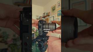 They did it AGAIN😱📷 #jeanblack #lifestyle #photographer #style #viral