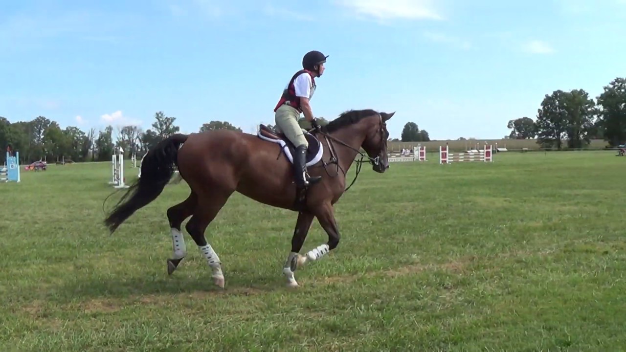 20190908 Seneca - Solstice Knight -Open Novice