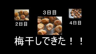 梅干し黒焼の作り方　飲み方