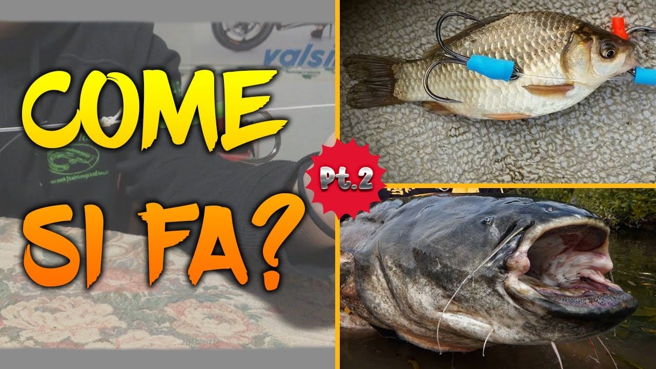 Come fare DUE TERMINALI per la PESCA al SILURO! - Tutorial - TZ Fishing