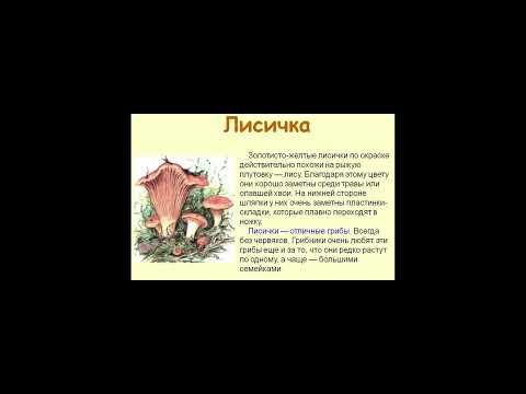 Лисички от червей . Польза грибов .