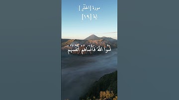 المنشاوي | سورة الحشر - الآية 16 | تلاوة خاشعة ومؤثرة #القرآن_الكريم #المنشاوي#القرآن #القران_الكريم