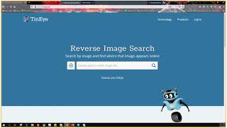 How to do Reverse Image search using tineye and other ways.