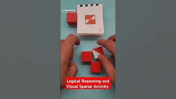 Logical Reasoning and Visual Spatial Activity