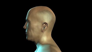 3D Character from Maya to Mudbox