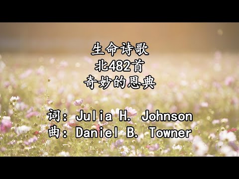 生命诗歌 北482 大617 奇妙的恩典