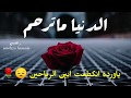 دنيا ماترحم / باسم الكربلائي