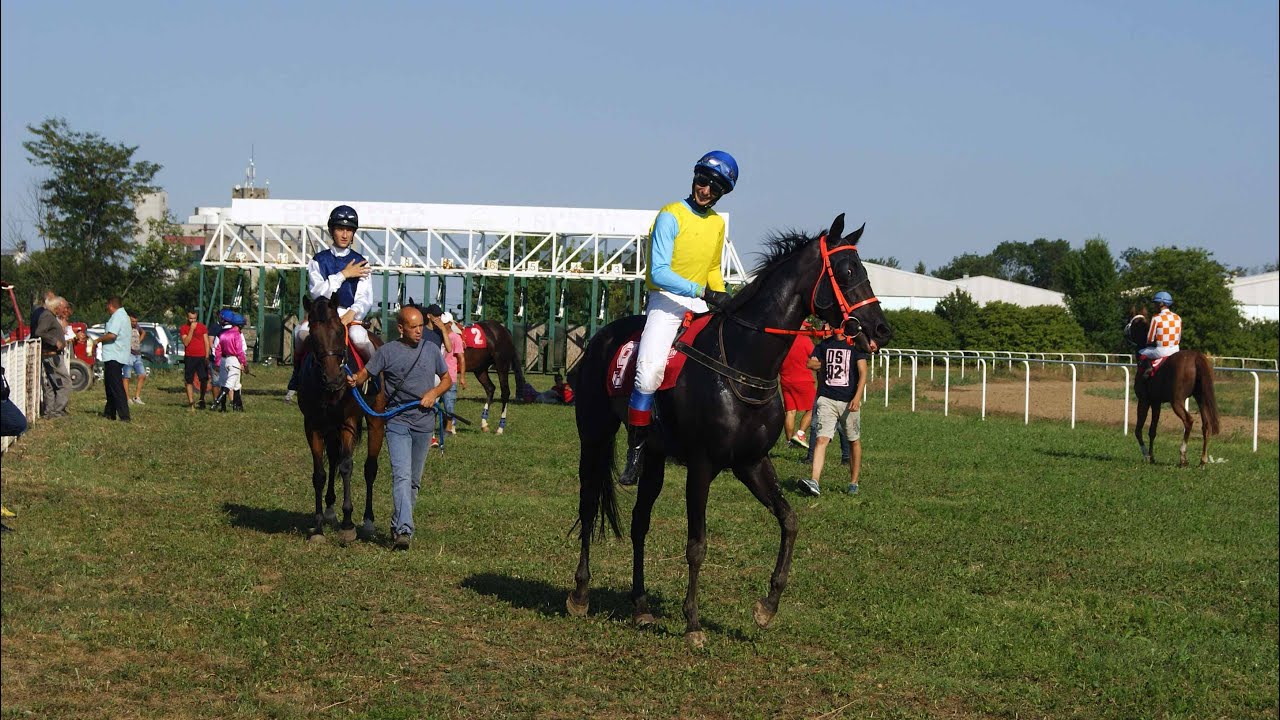 Konjičke trke u Bogatiću -  avgust 2021.