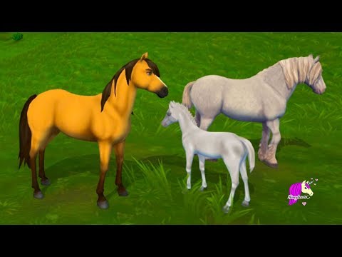 Spirit Helps Train a Baby Horse ! Spring Time Foal Quest Star Stable Online Game Video
