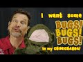 Chimichanga Adventure Quiz