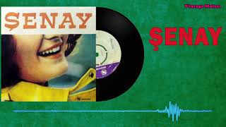 Şenay - Nerdeyiz 1972 (Orjinal Plak Kaydı) Resimi