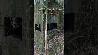 Bunker Found On Top Of A Abandoned Fortress #shorts #bunkers #history