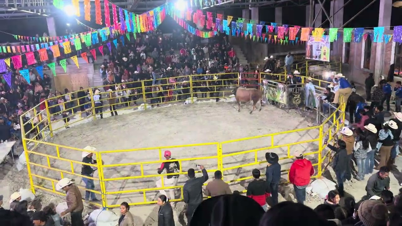 …::: Jaripeo Santa Catarina Yosonotú 2026 | 4k :::…