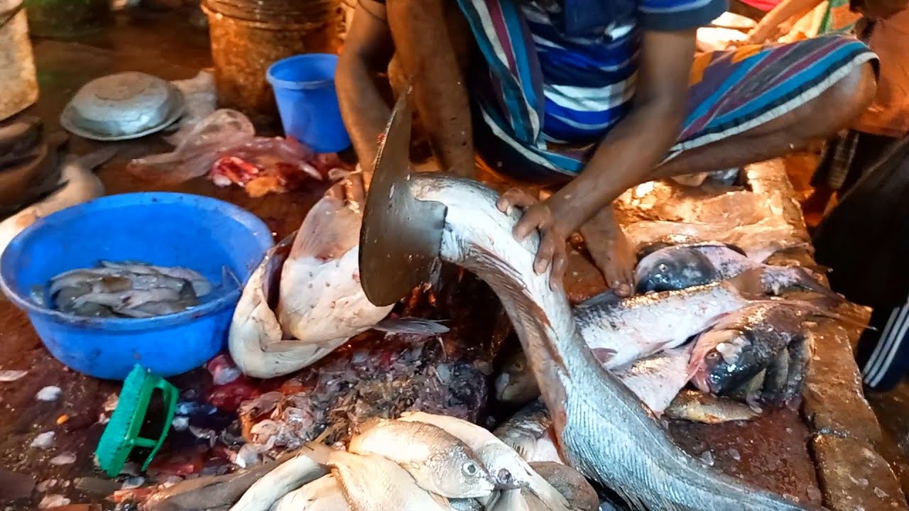 Giant Boal Fish Cutting in Fish Market | Boal Fish Cutting Video - YouTube