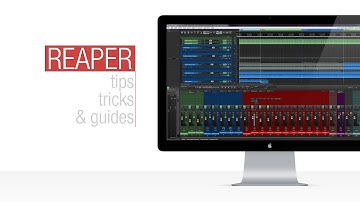 Reaper Tutorial: SWS Snapshots