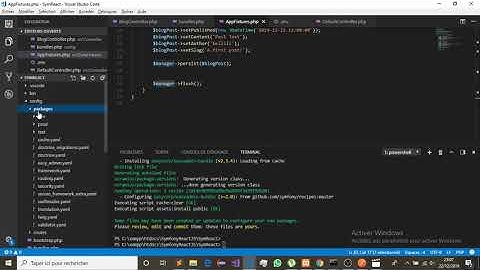 PHP Symfony 4 API Platform + Angular 8 : Lesson 8  Admin panel introduction   EasyAdmin